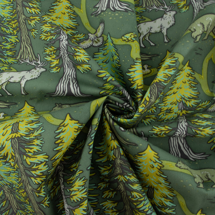 Redwoods Green Organic Fabric by Mustard Beetle from Birch Fabrics. Sold by Canadian online fabric store Woven Fabric Gallery. 