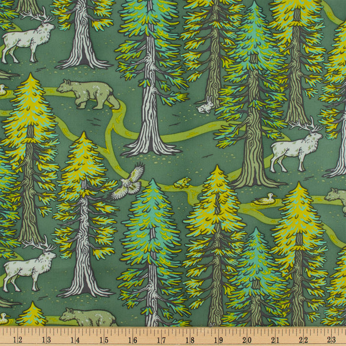 Redwoods Green Organic Fabric by Mustard Beetle from Birch Fabrics. Sold by Canadian online fabric store Woven Fabric Gallery. 