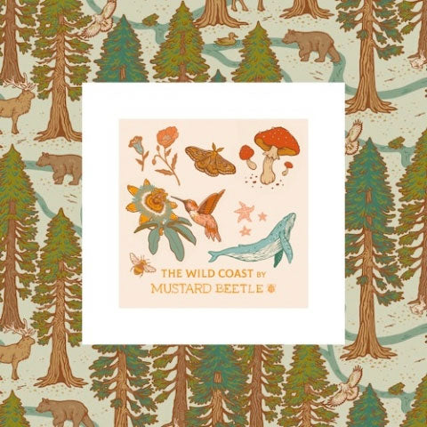 Organic The Wild Coast By Birch Fabrics Woven Modern Fabric Gallery