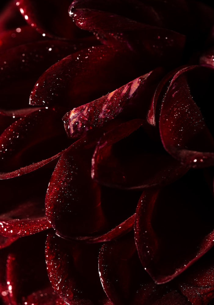 Burgundy - Woven Modern Fabric Gallery