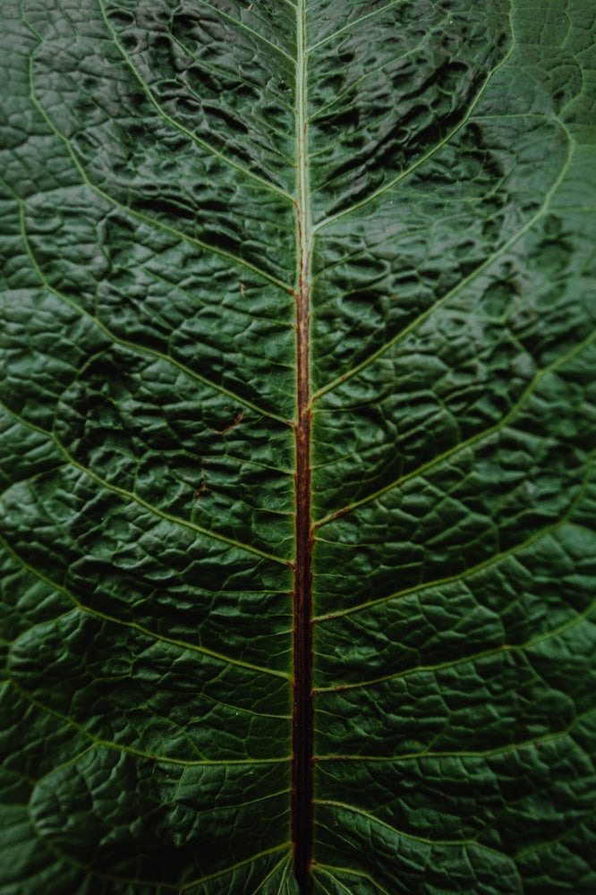 Green - Woven Modern Fabric Gallery