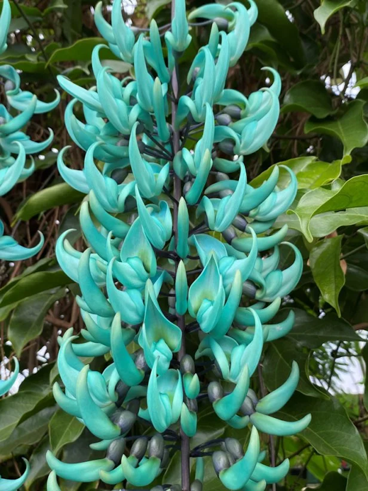 Teal - Woven Modern Fabric Gallery
