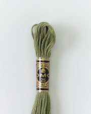 DMC Embroidery Floss 3052 Silver Green - Woven Modern Fabric Gallery