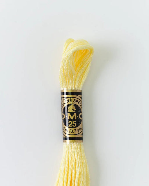 DMC Embroidery Floss 3078 Buttermilk - Woven Modern Fabric Gallery