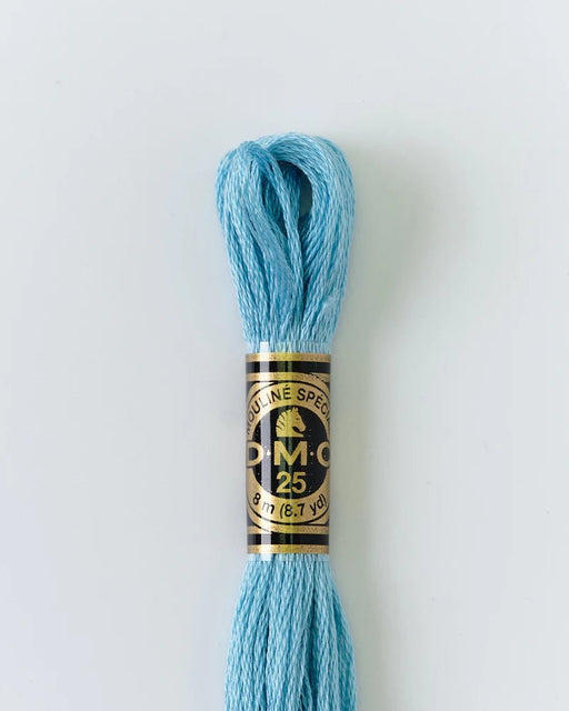 DMC Embroidery Floss 3766 Blue Green - Woven Modern Fabric Gallery