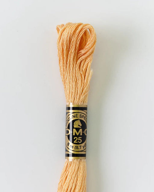 DMC Embroidery Floss 3856 Buff - Woven Modern Fabric Gallery