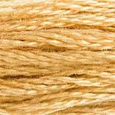 DMC Embroidery Floss 422 Light Oak - Woven Modern Fabric Gallery
