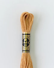 DMC Embroidery Floss 437 Camel - Woven Modern Fabric Gallery