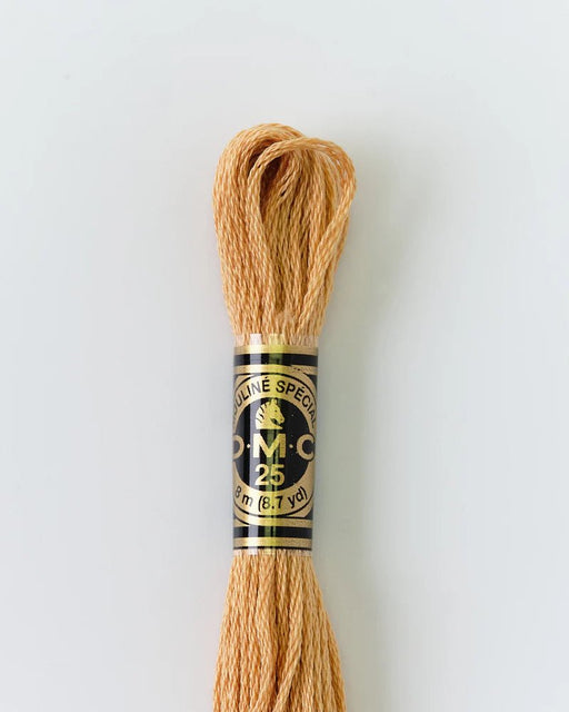 DMC Embroidery Floss 437 Camel - Woven Modern Fabric Gallery