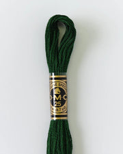 DMC Embroidery Floss 890 Black Forest - Woven Modern Fabric Gallery