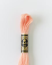 DMC Embroidery Floss 353 Ballet slippers