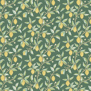 Lemon Tree Dark Green - Woven Modern Fabric Gallery