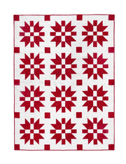 Lo & Behold Christmas Joy - Woven Modern Fabric Gallery
