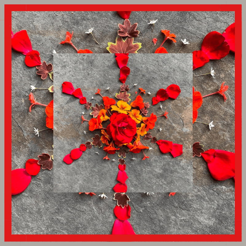 Nasturtiums Mandala Bundle - Woven Modern Fabric Gallery