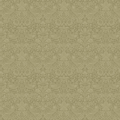 Olive Fruit - Woven Modern Fabric Gallery