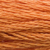 DMC Embroidery Floss 3853 Copper