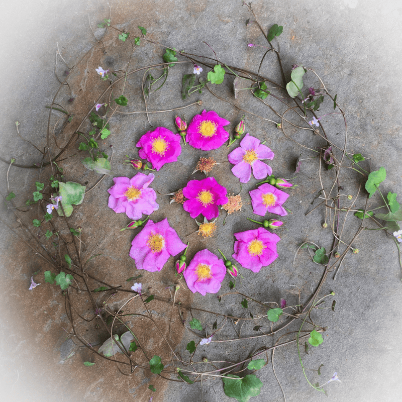 Roses Mandala Bundle - Woven Modern Fabric Gallery