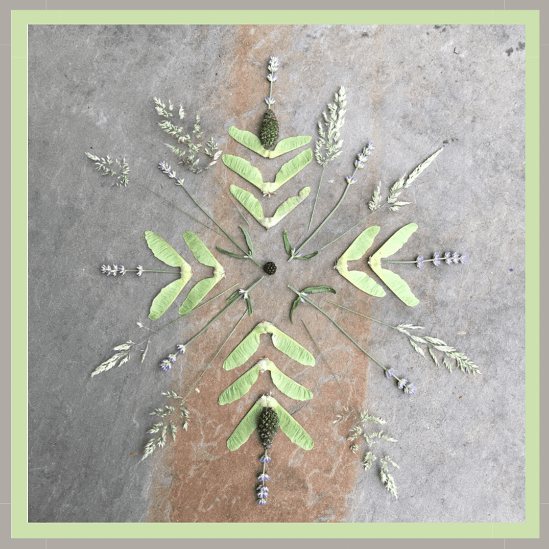 Seeds Mandala Bundle - Woven Modern Fabric Gallery