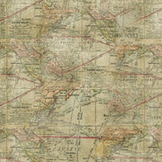 Tim Holtz Expedition Quilt Backing - Woven Modern Fabric Gallery