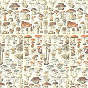 Tim Holtz Orange Toadstools - Woven Modern Fabric Gallery
