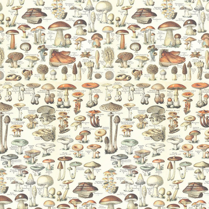 Tim Holtz Orange Toadstools - Woven Modern Fabric Gallery