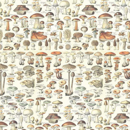 Tim Holtz Orange Toadstools - Woven Modern Fabric Gallery