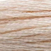 DMC Embroidery Floss 543 Shell