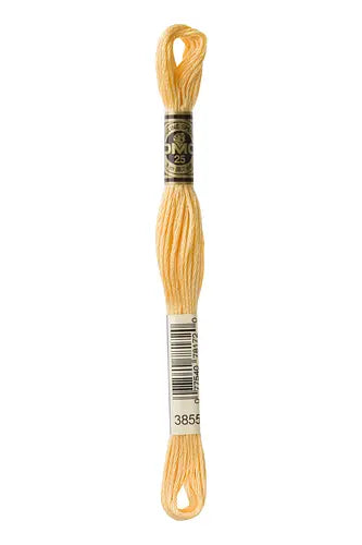 DMC Embroidery Floss 3855 Desert Winds
