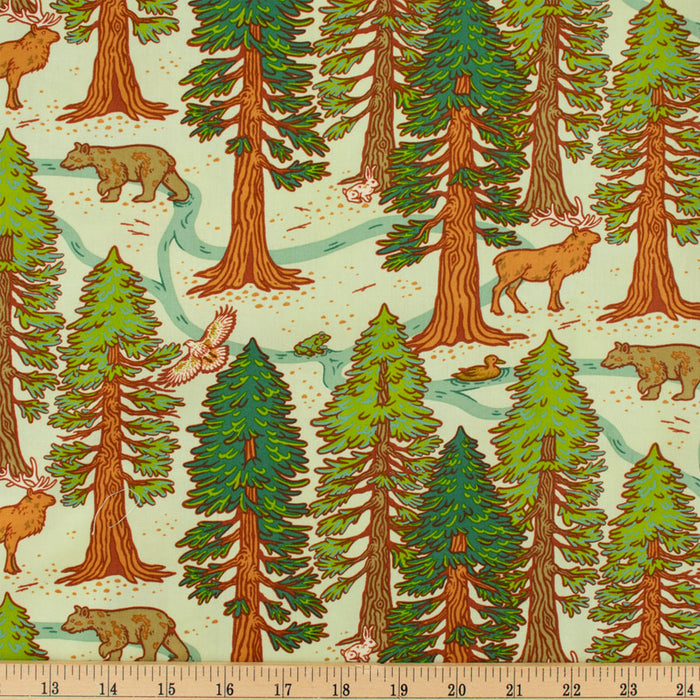 Redwoods Mint Organic Fabric by Mustard Beetle from Birch Fabrics. Redwoods Green Organic Fabric by Mustard Beetle from Birch Fabrics. Sold by Canadian online fabric store Woven Fabric Gallery. 