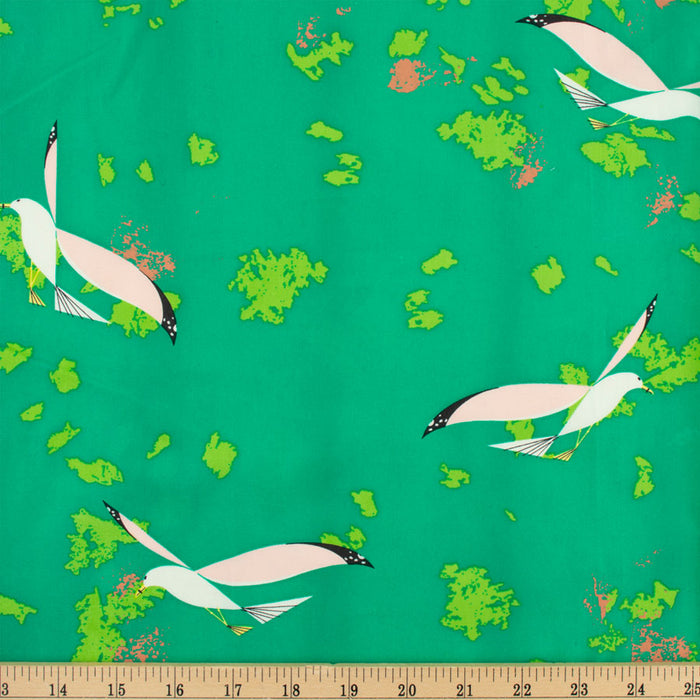 Seagulls Organic fabric by Charley Harper for Birch Fabrics. Sold by Candian online fabric store Woven Fabric Gallery.